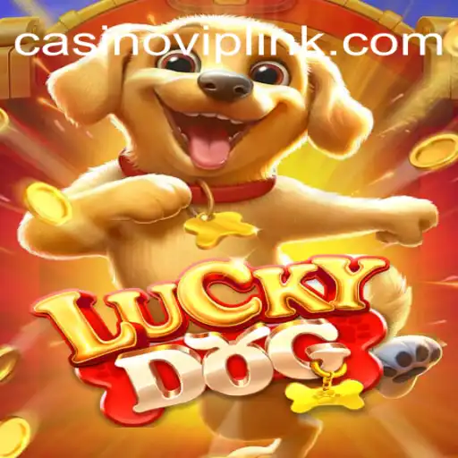Discovering LuckyDog: A Deep Dive into Brazil's Premier Slot Game Experience