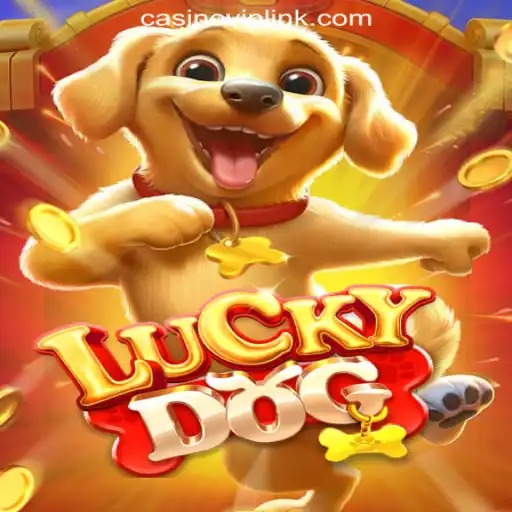 Discovering LuckyDog: A Deep Dive into Brazil's Premier Slot Game Experience